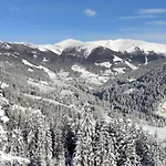 Daire Relax Bad Kleinkirchheim