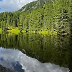 Relax Bad Kleinkirchheim Daire *