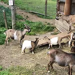 Relax Bad Kleinkirchheim