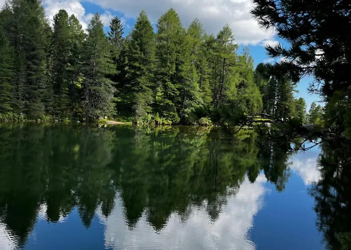 Lejlighed Relax Bad Kleinkirchheim