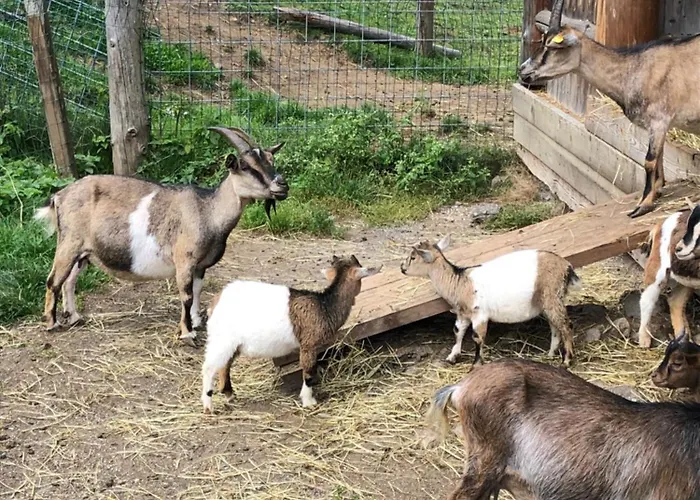 Relax Bad Kleinkirchheim